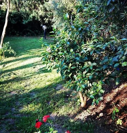 -exclusive Private Villa- Villasimius