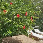 Σπίτι διακοπών -exclusive Private Villa- *