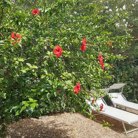 Prázdninový dům -exclusive Private Villa- *