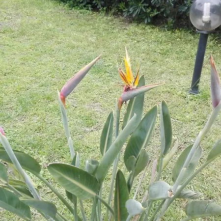 -exclusive Private Villa- 別荘 *