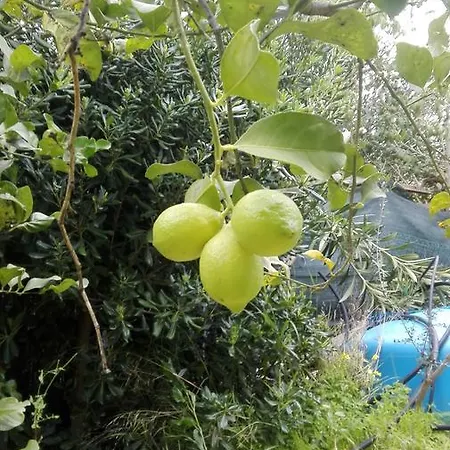 -exclusive Private Villa- Vakantiehuis Villasimius